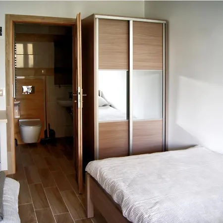 Rega * サルビノボ