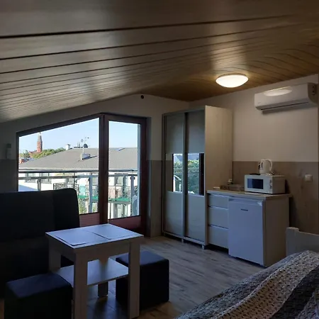 Rega * サルビノボ