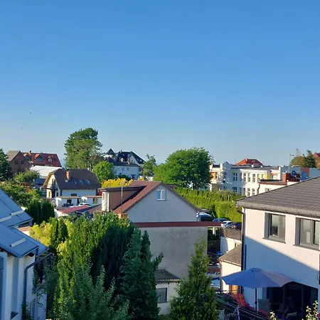 Rega サルビノボ